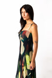 ALICE Sleeveless Midi Fit N Flare Paneled Mesh Dress